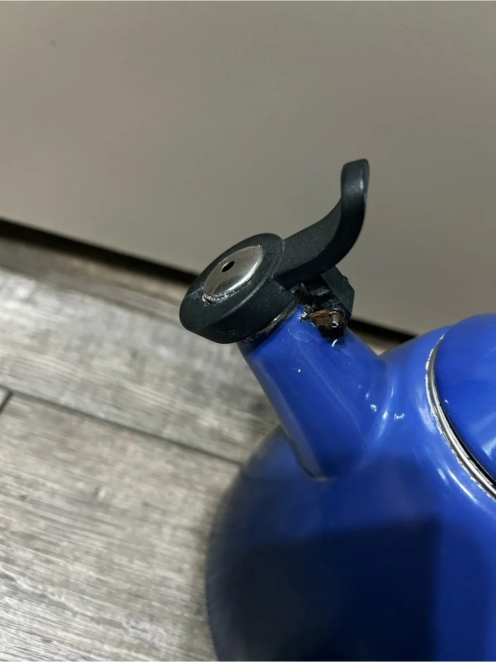Le Creuset enamel whistling